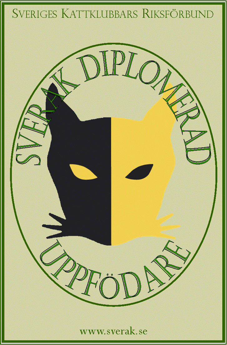 SVERAK-diplomerad kattuppfödare