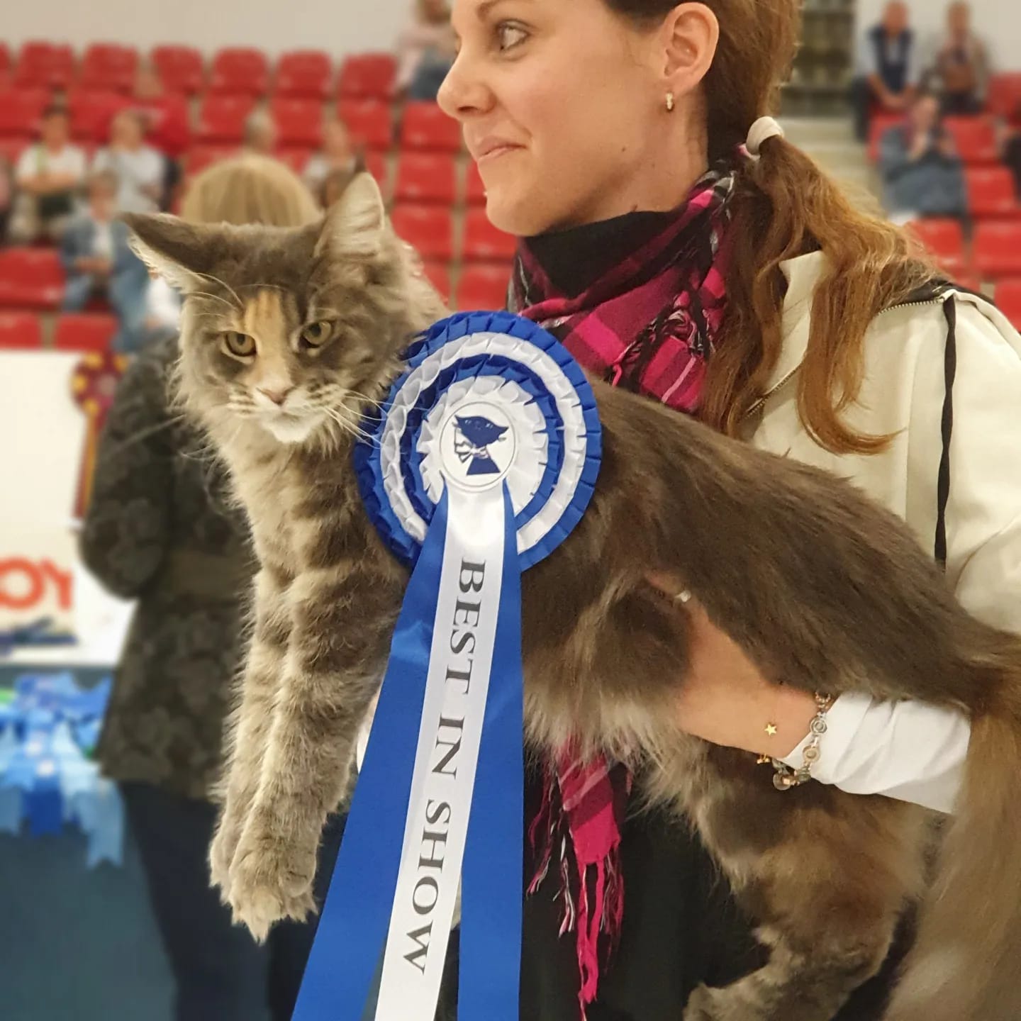Nyheter – SE*Ferox Lynx Nyheter – SE*Ferox Lynx
