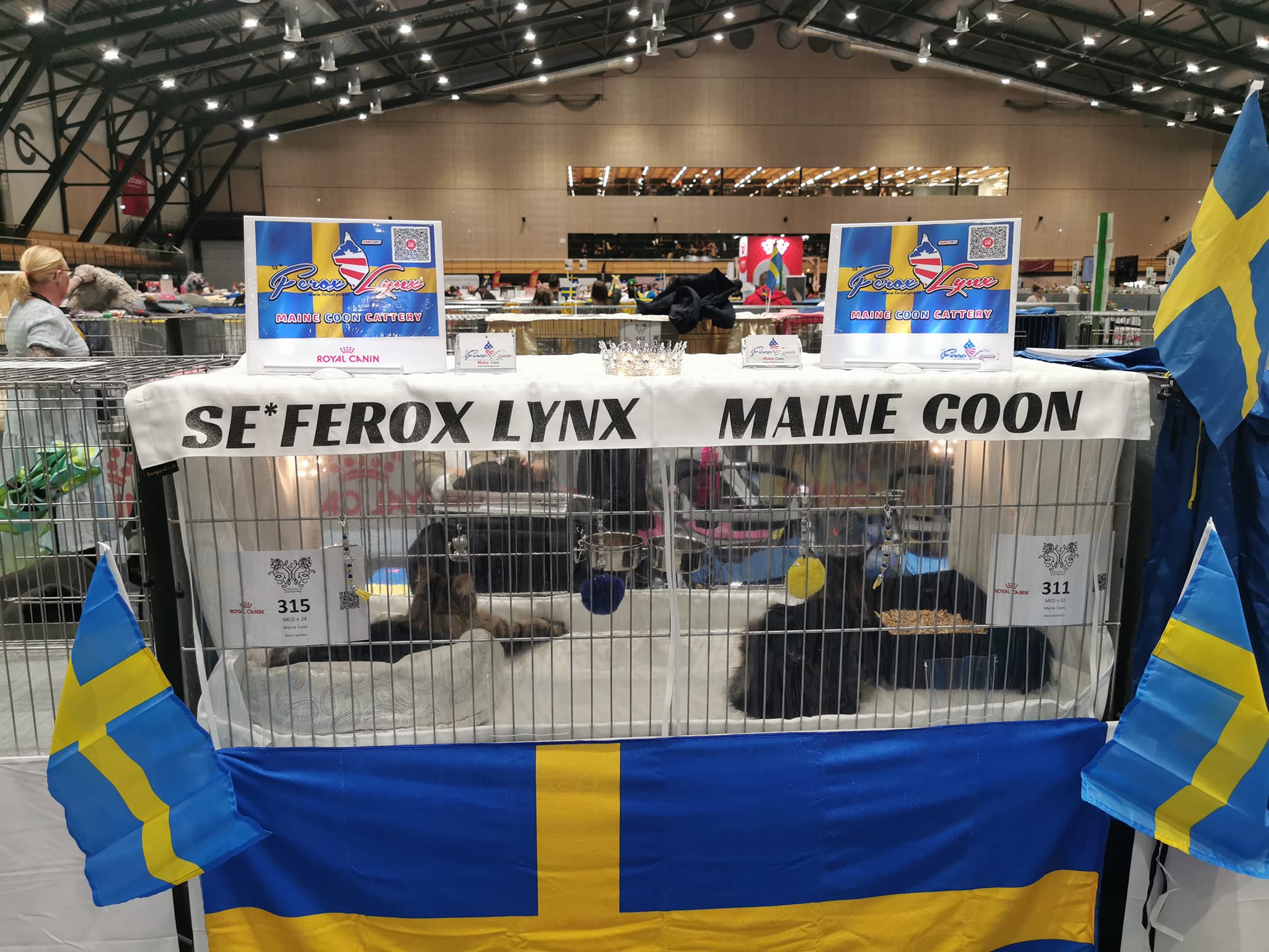 Bild från Ferox Lynx nyheter Bild från Ferox Lynx nyheter