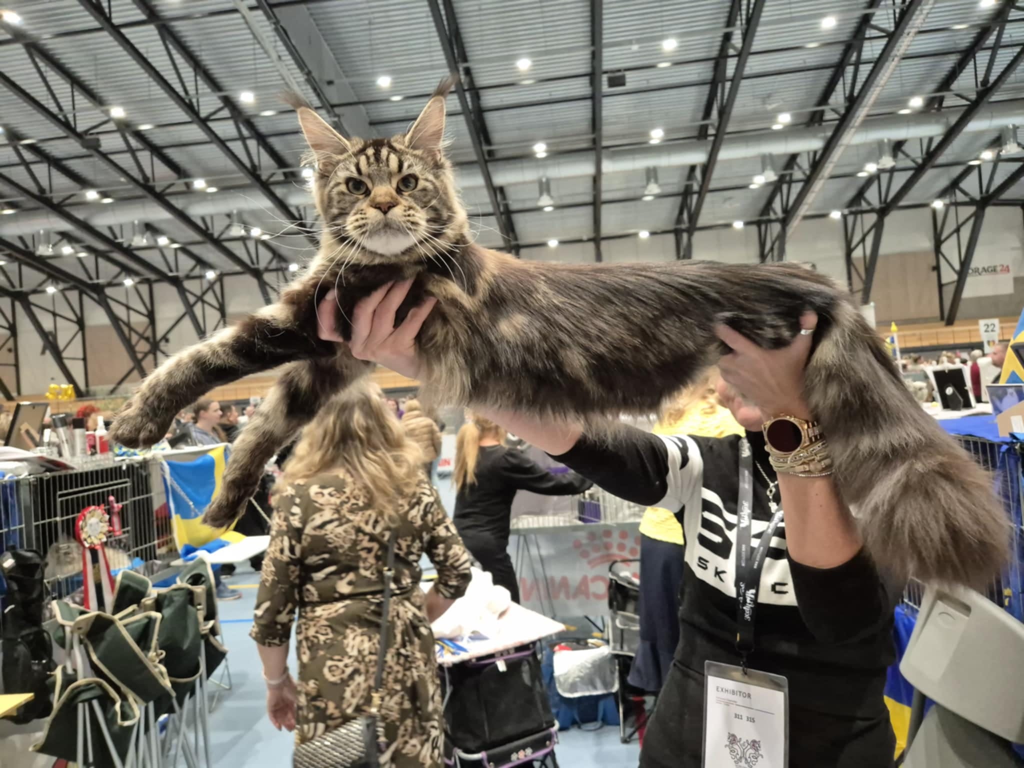 Bild från Ferox Lynx nyheter Bild från Ferox Lynx nyheter
