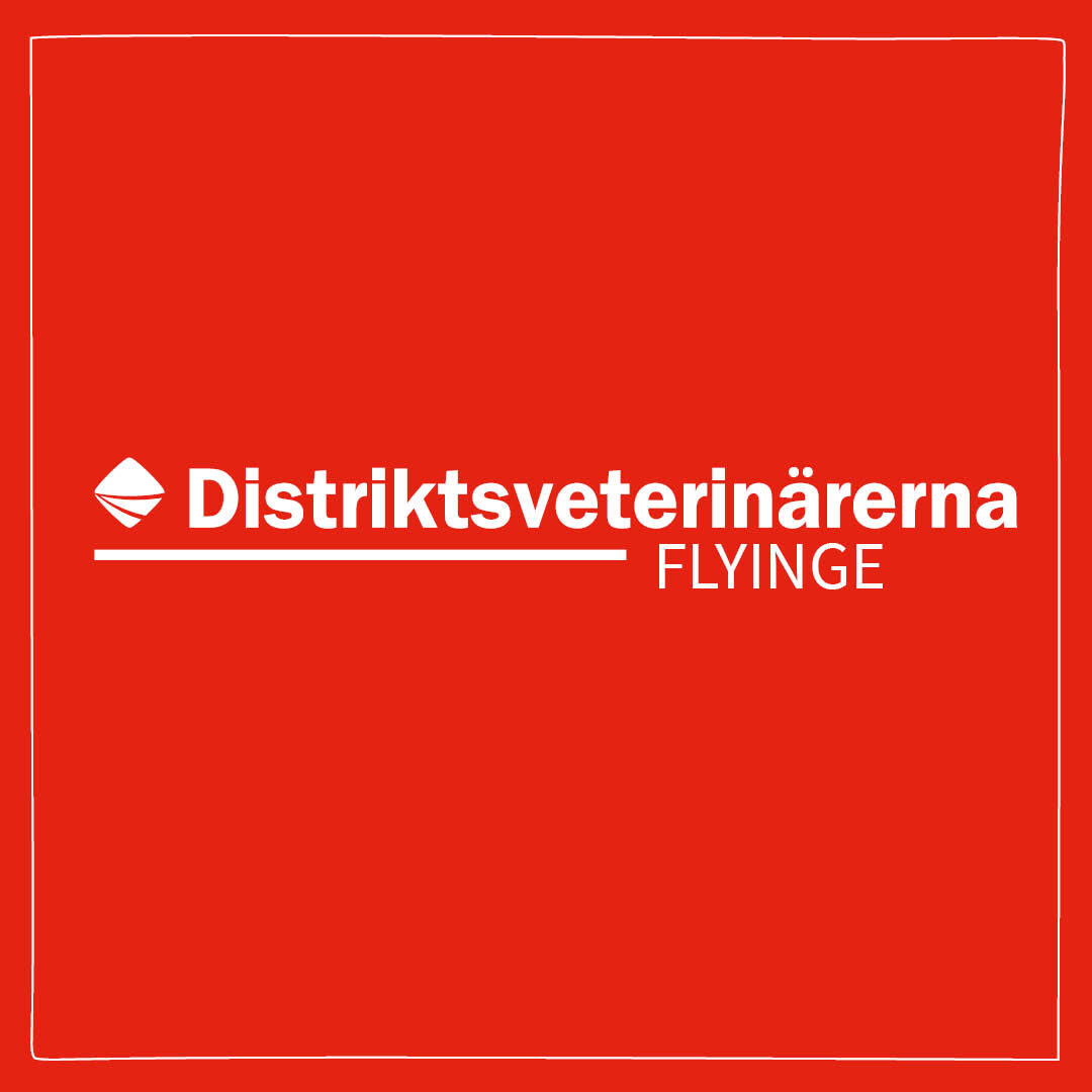 Distriktsveterinärerna Flyinge