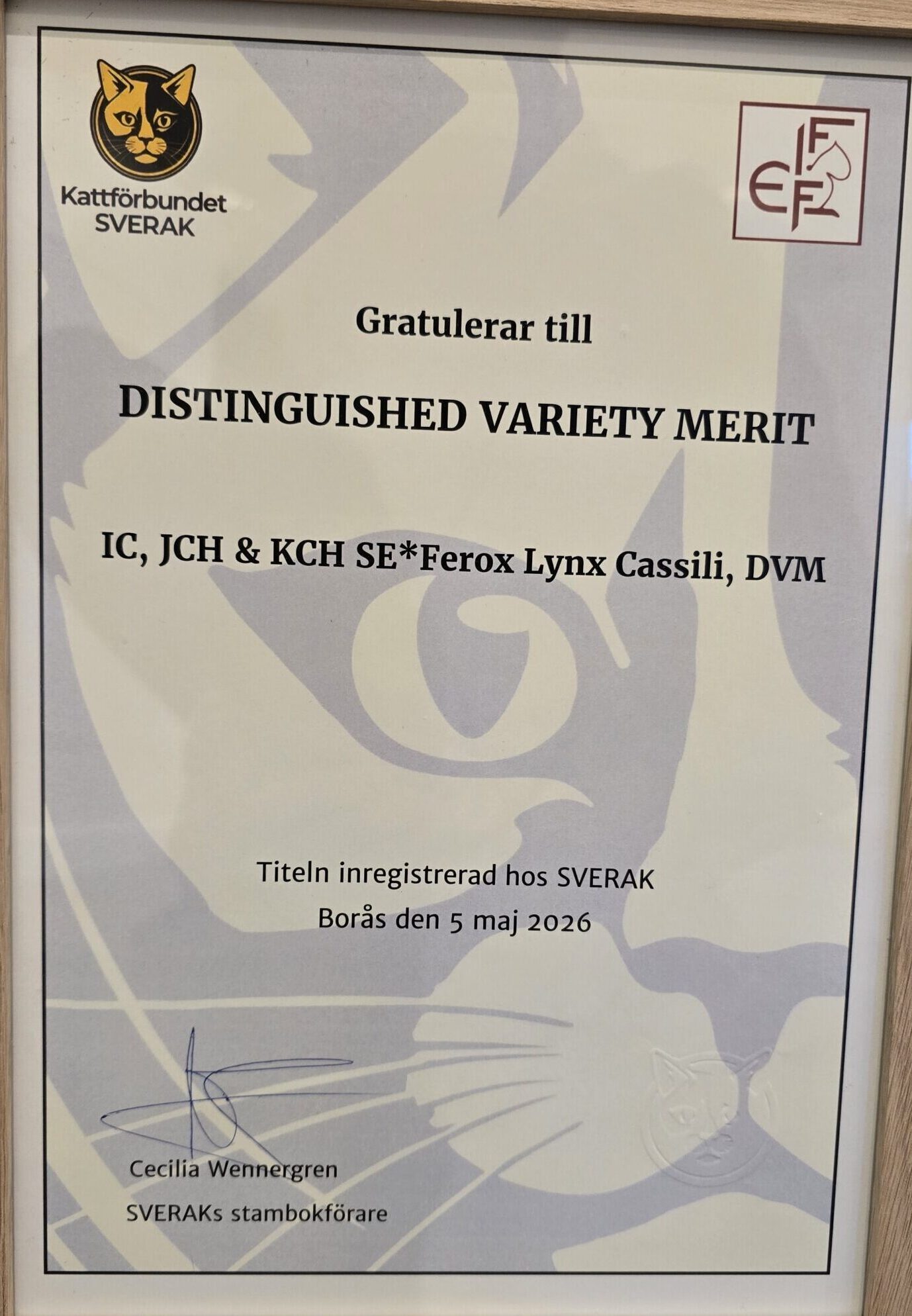SVERAK-intyg för Cassilis DVM-titel