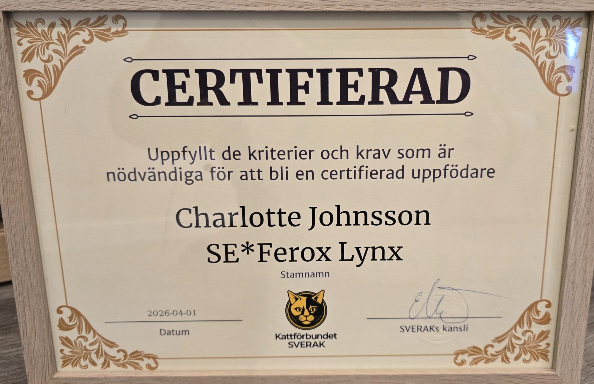 SVERAK-certifierad kattuppfödare