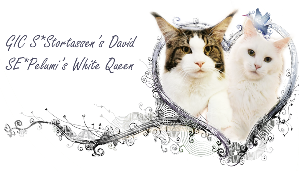 Eurodance-kullens föräldrar David och Queenie