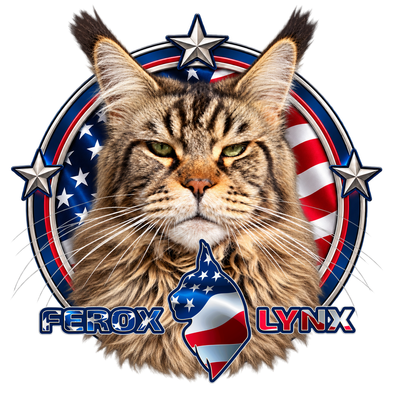 Berkano Kuma, Maine Coon – profilporträtt