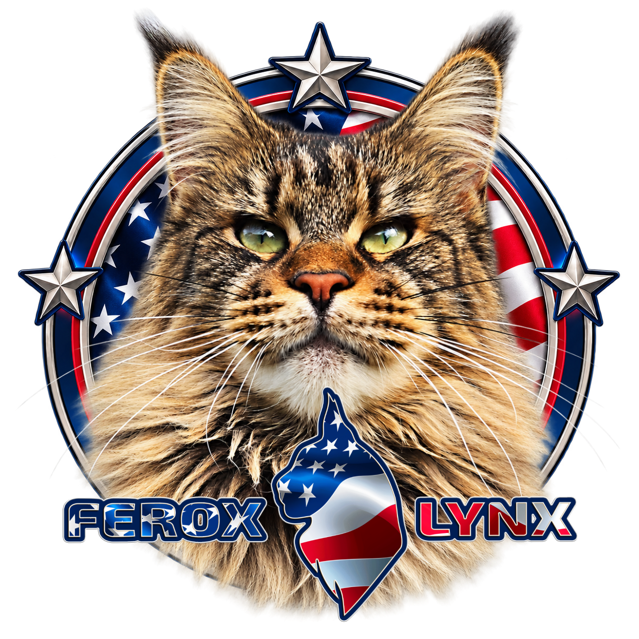 Berkano Misaki, Maine Coon – profilporträtt