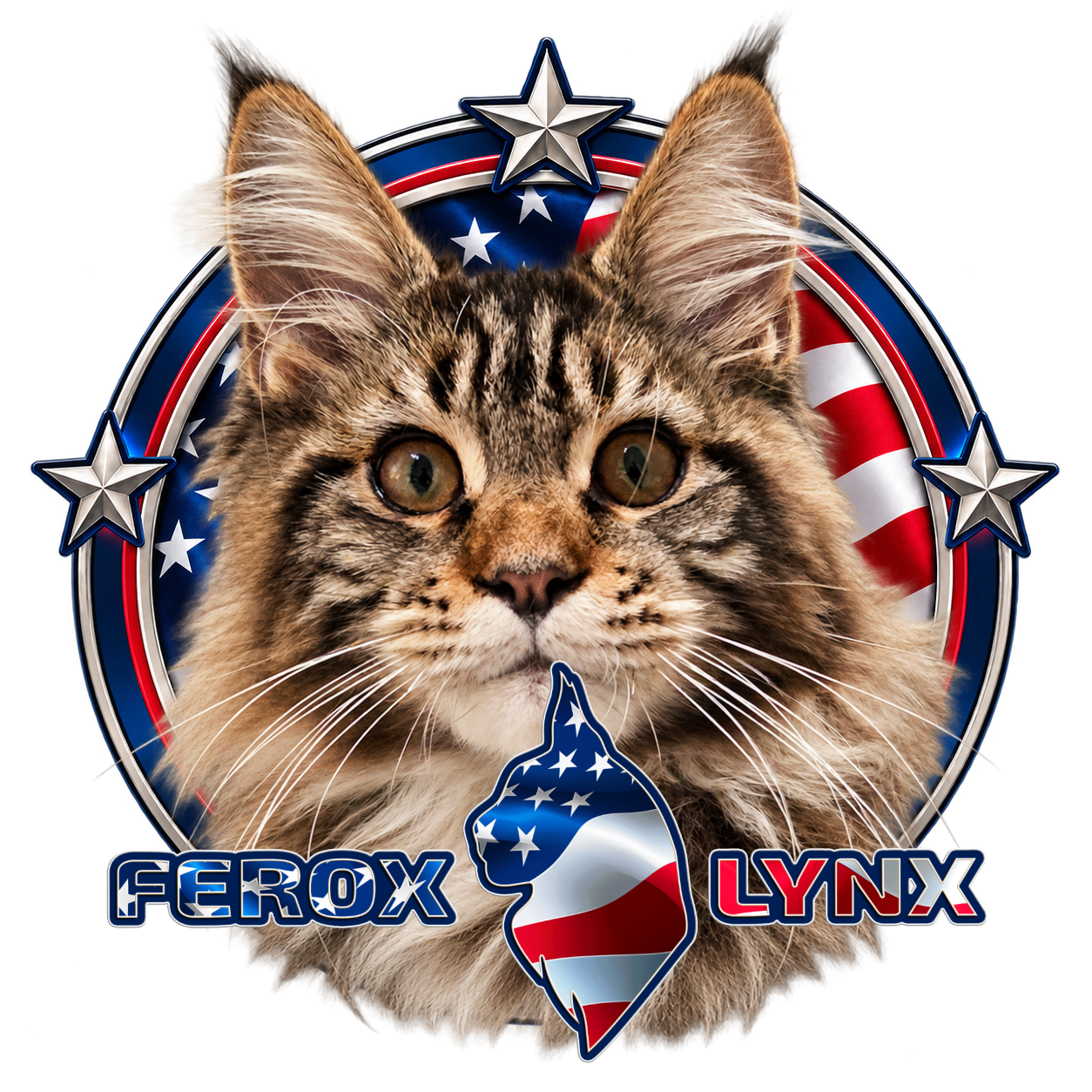Venom Of Dragon’s Blood, Maine Coon – profilporträtt